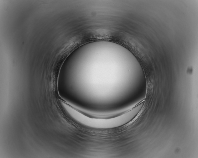 X0000098030170200804181238