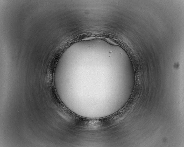 X0000098030173200804181238