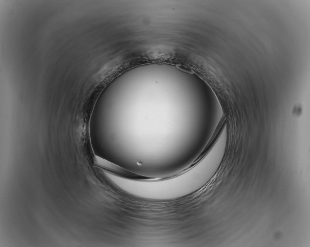 X0000098030176200804181238