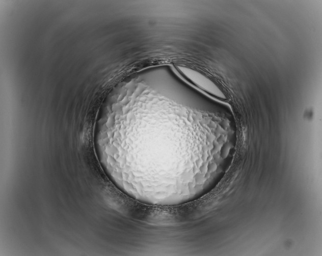 X0000098030177200804181238