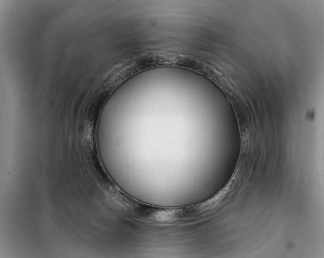 X0000098030178200804181238