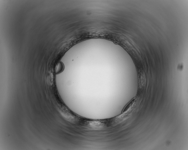 X0000098030183200804181239