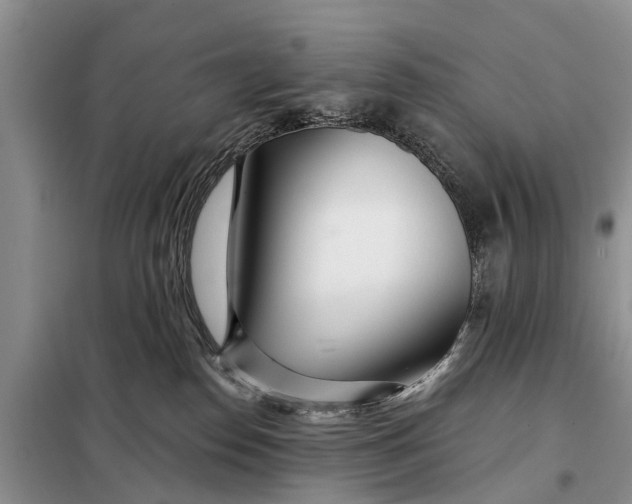 X0000098030186200804181239