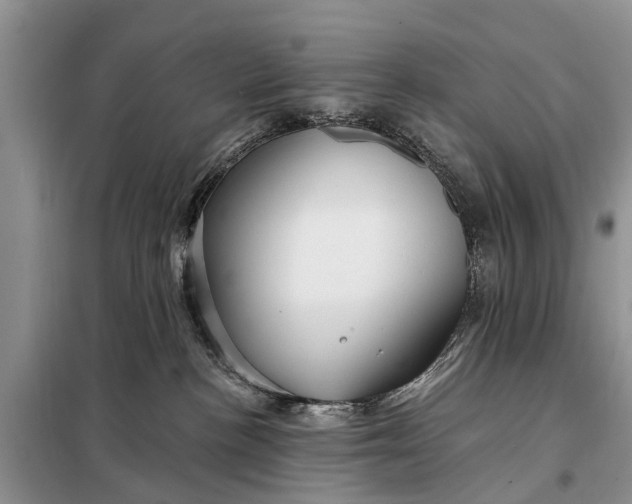 X0000098030188200804181239