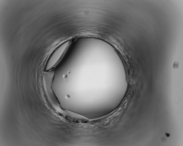 X0000098030193200804181238