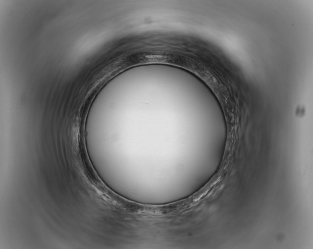 X0000098030194200804181238