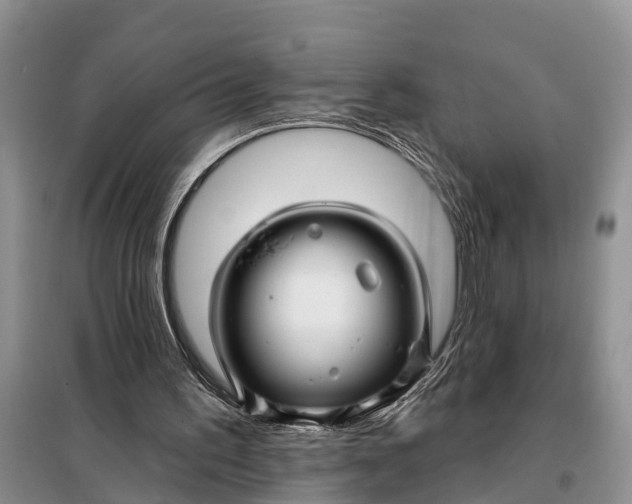 X0000098030195200804181238