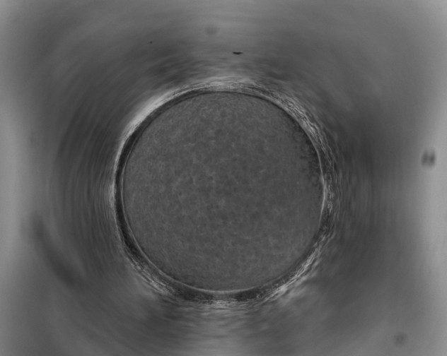 X0000098030196200804181238