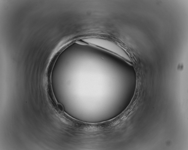 X0000098030198200804181238