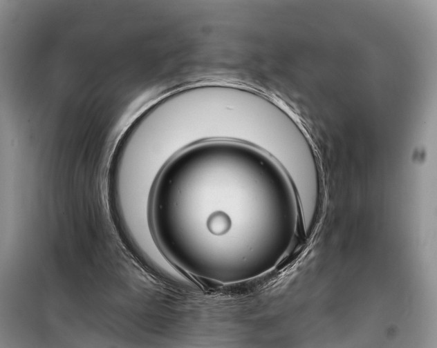 X0000098030199200804181238