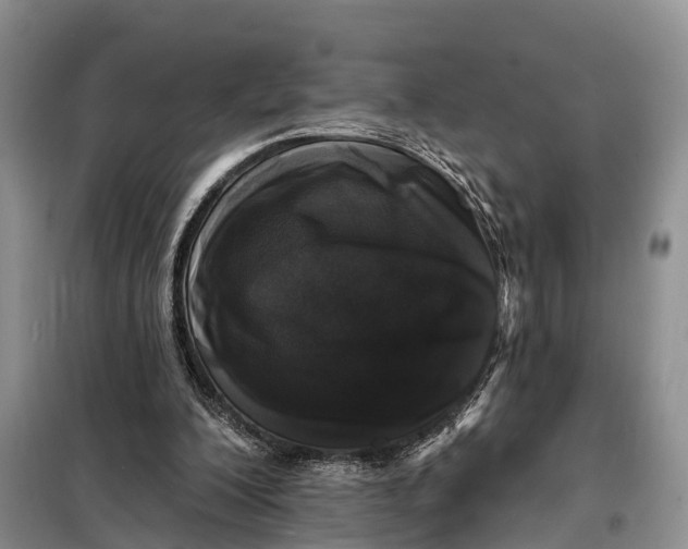 X0000098030200200804181238