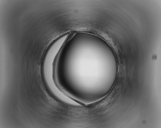 X0000098030201200804181238