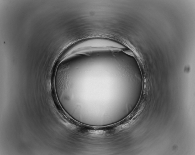 X0000098030203200804181238