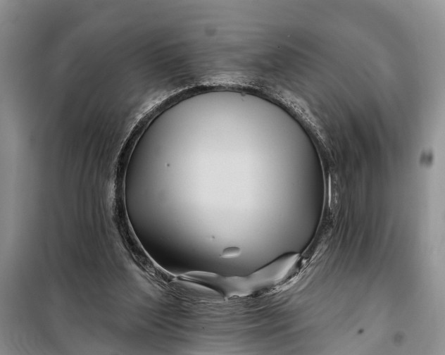 X0000098030204200804181238