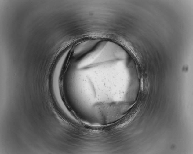 X0000098030205200804181238