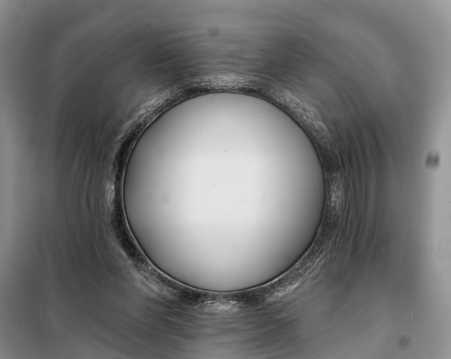 X0000098030206200804181238