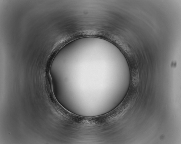 X0000098030207200804181238