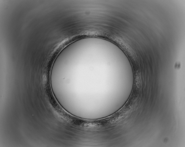 X0000098030208200804181238