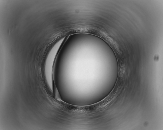 X0000098030209200804181238