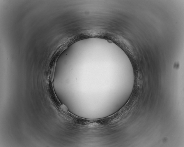 X0000098030210200804181238