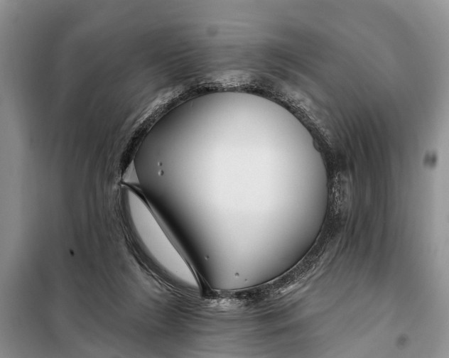 X0000098030212200804181238