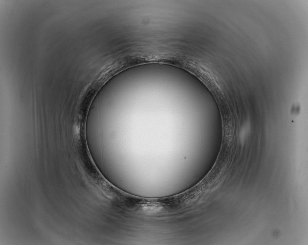 X0000098030214200804181238