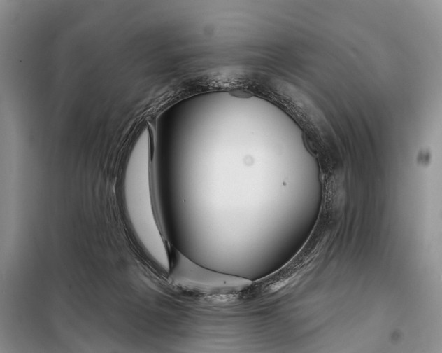 X0000098030217200804181238