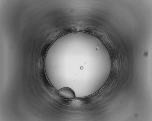 X0000098030218200804181238