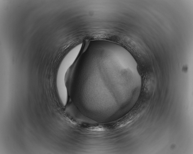 X0000098030219200804181238