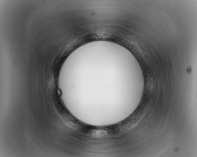 X0000098030220200804181238