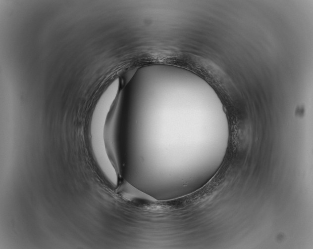 X0000098030221200804181238