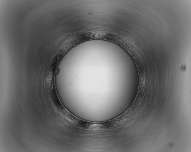 X0000098030222200804181238