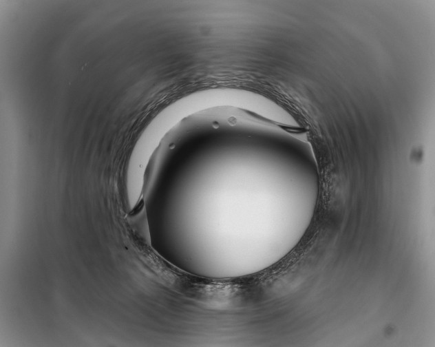 X0000098030225200804181238