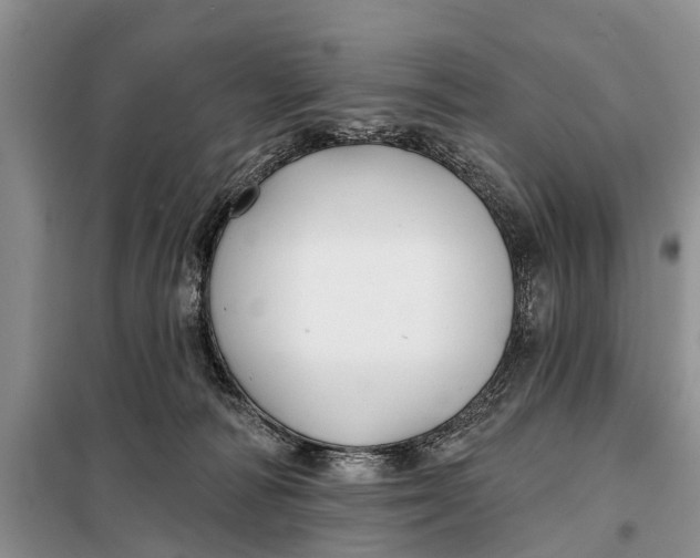 X0000098030226200804181238