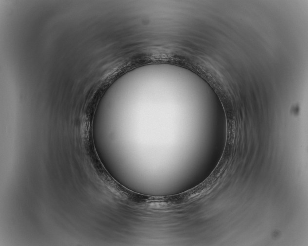 X0000098030228200804181238