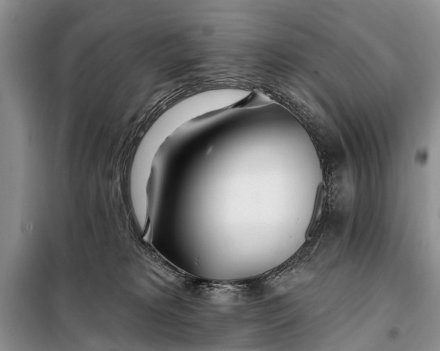 X0000098030229200804181237