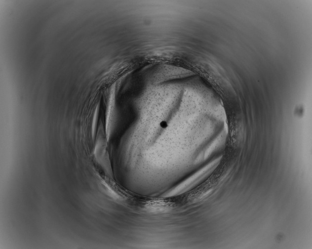 X0000098030231200804181237