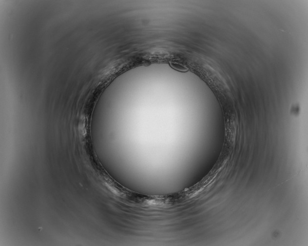 X0000098030232200804181237