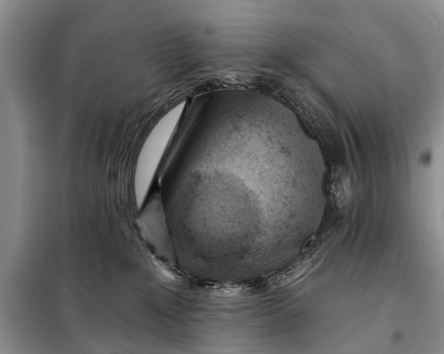 X0000098030235200804181237