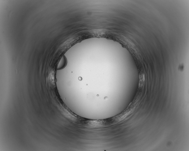 X0000098030238200804181237