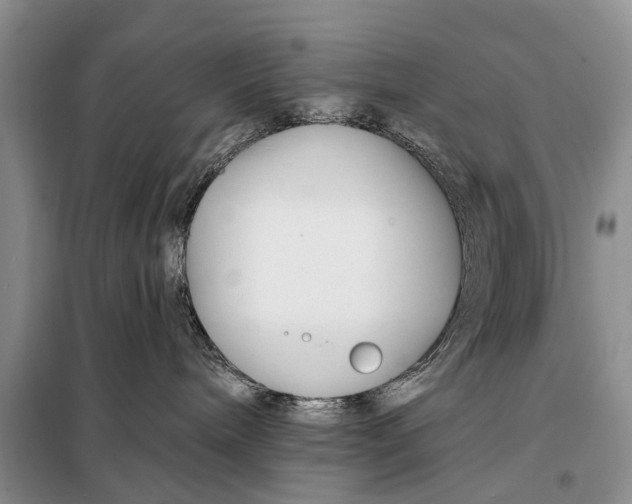 X0000098030240200804181237