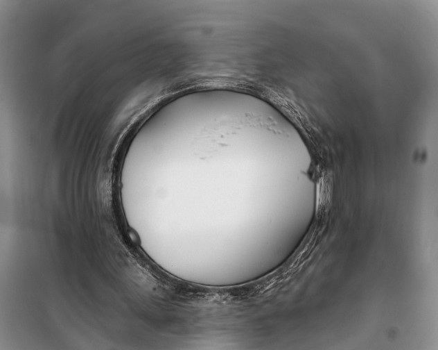 X0000098030243200804181236