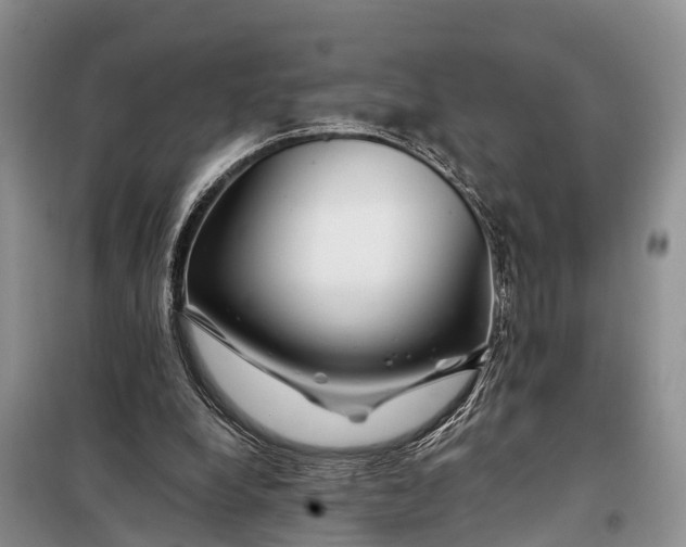 X0000098030248200804181236