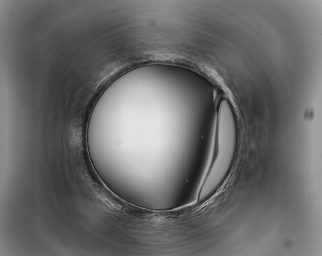 X0000098030249200804181236