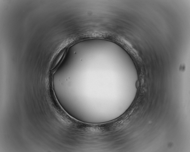 X0000098030250200804181236