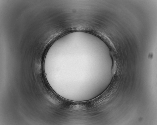 X0000098030251200804181236