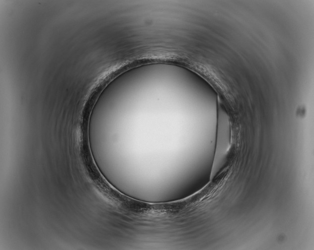 X0000098030252200804181236