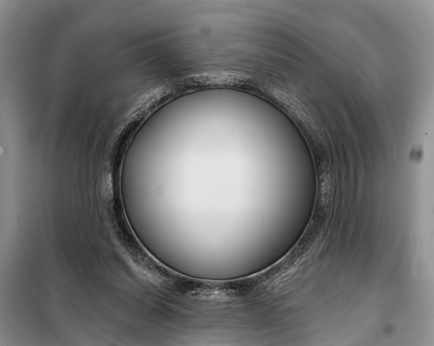 X0000098030254200804181237