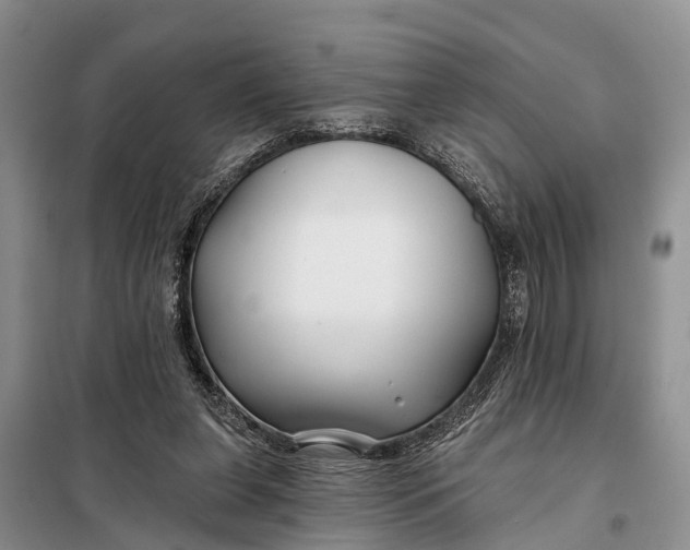 X0000098030255200804181237