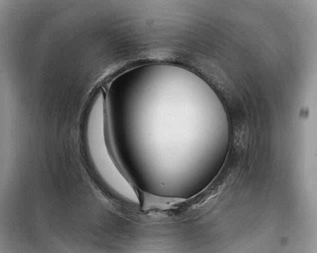 X0000098030256200804181237